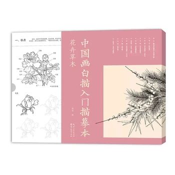 Introdução ao Desenho de Linha na Pintura Chinesa para Flores e plantas Livro de Arte