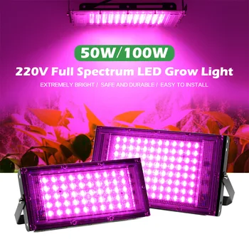 LED Cresce a Luz de Espectro Completo da Luz 50W, 100W Com Plug UE Viveiro plantio Para a Estufa Hidropônica Flor de Propagação Fito Lâmpada